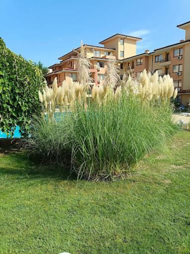 Magic Dreams Apartments Sveti Vlas Esterno foto